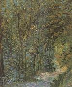 Path in the Woods (nn04) Vincent Van Gogh